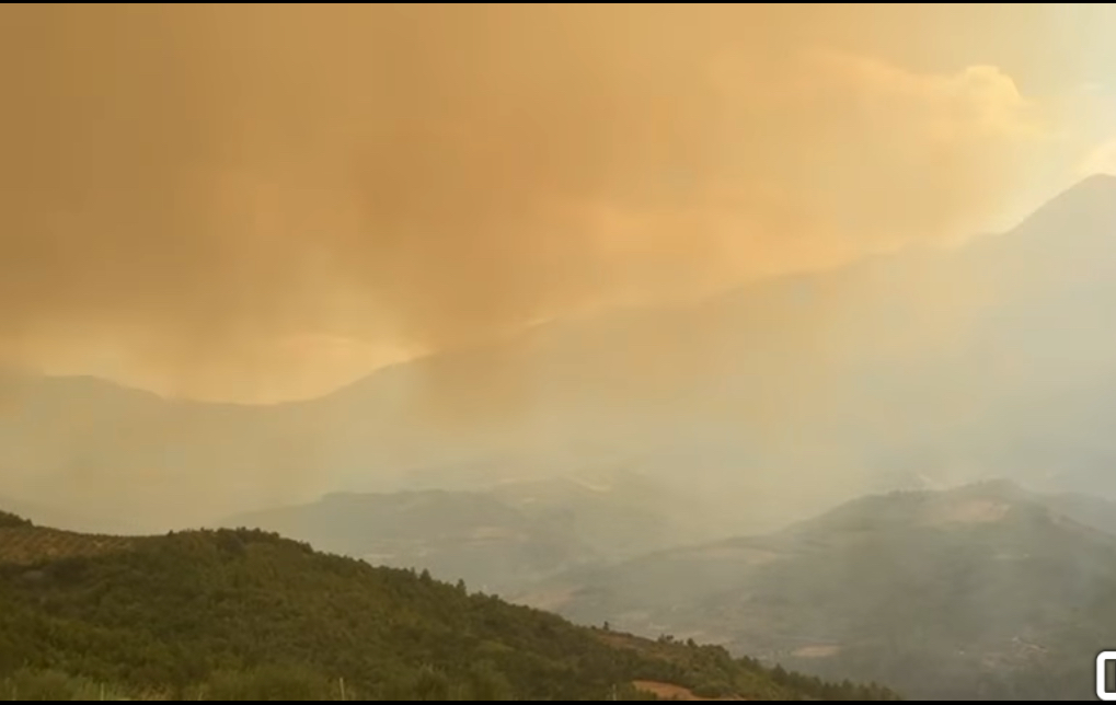 Ministria e Mbrojtjes, apel urgjent për banorët e Gramshit