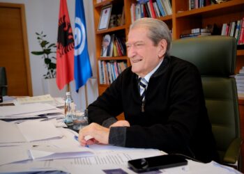 Berisha shpjegon ndërprerjen e fjalës në Strasburg