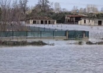 Vjosa kalon nivelin 9 metra. Nis evakuimi në disa fshatra