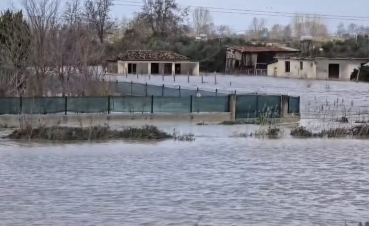 Vjosa kalon nivelin 9 metra. Nis evakuimi në disa fshatra