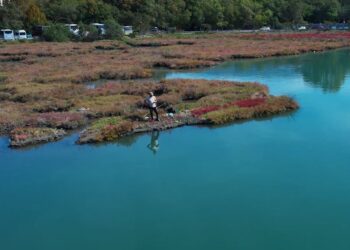 Peshkimi ‘pirat’ në brigjet shqiptare, viti zero në rregullimin dhe përfitimin nga peshkimi çlodhës-argëtues