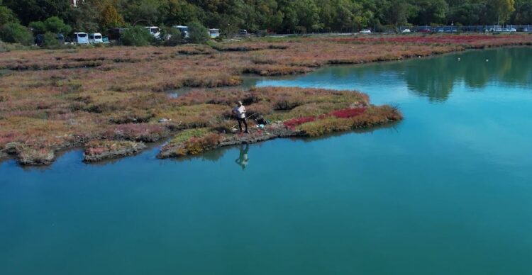Peshkimi ‘pirat’ në brigjet shqiptare, viti zero në rregullimin dhe përfitimin nga peshkimi çlodhës-argëtues