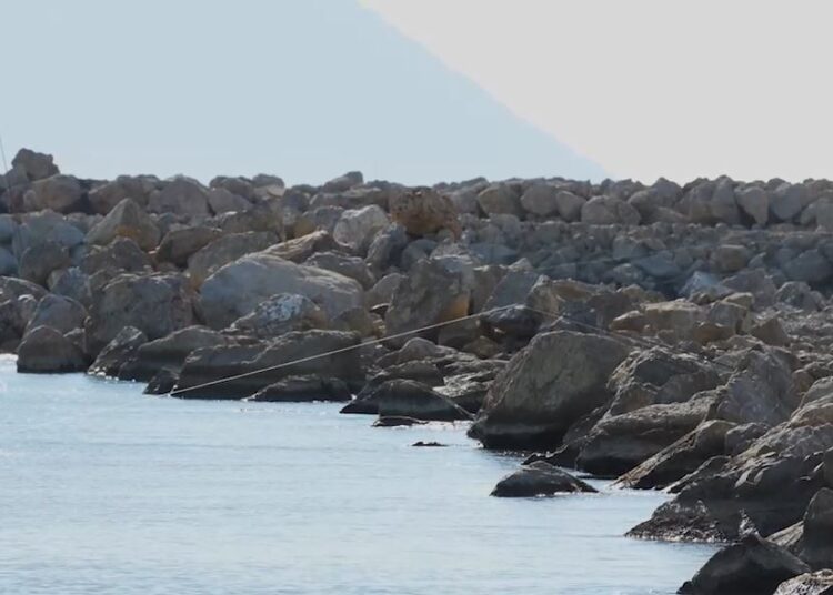 SPECIALE/ Të gjitha rregullat që duhen mbajtur parasysh kur shkoni për peshkim çlodhës e argëtues