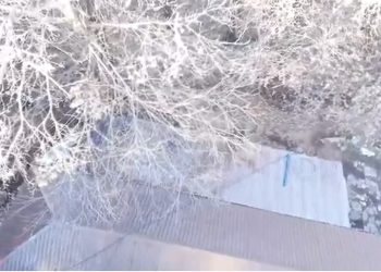 Shkodër, një dhomë me armë e tjetra me kanabis