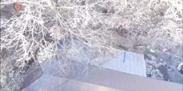 Shkodër, një dhomë me armë e tjetra me kanabis