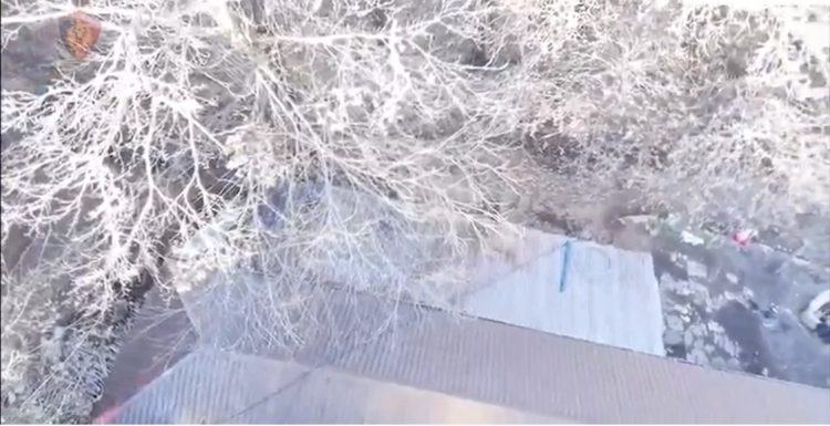 Shkodër, një dhomë me armë e tjetra me kanabis