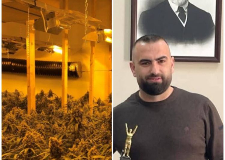 4 mijë rrënjë kanabis në shtëpinë e drejtorit të burgut të Rrogozhinës