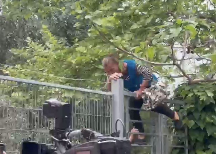 Gruaja nga Laçi tenton të hyjë nga kangjellat në SPAK: M’i kanë vjedhur pronat!