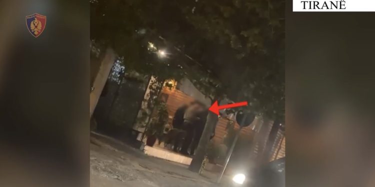 TIRANË/ Goditen grupet e shpërndarjes së drogës, 15 në pranga, 16 në kërkim