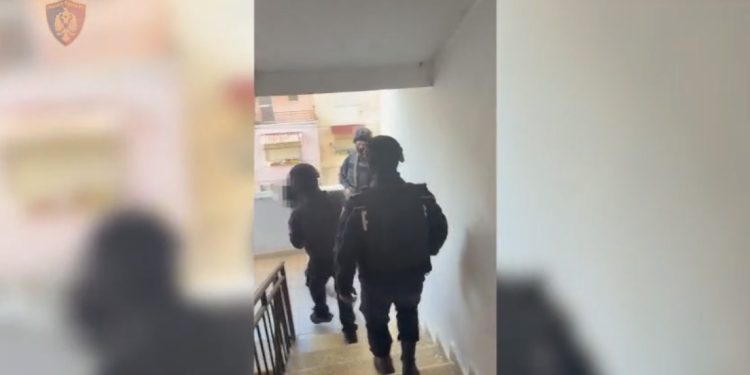 Operacion antidrogë në Elbasan, 16 të ndaluar dhe 9 kg kanabis të sekuestruara