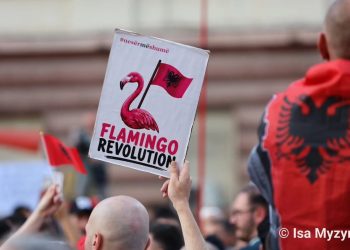 Mushkonjat e Strasburgut, flamingot e Zvërnecit dhe fabula e Ezopit