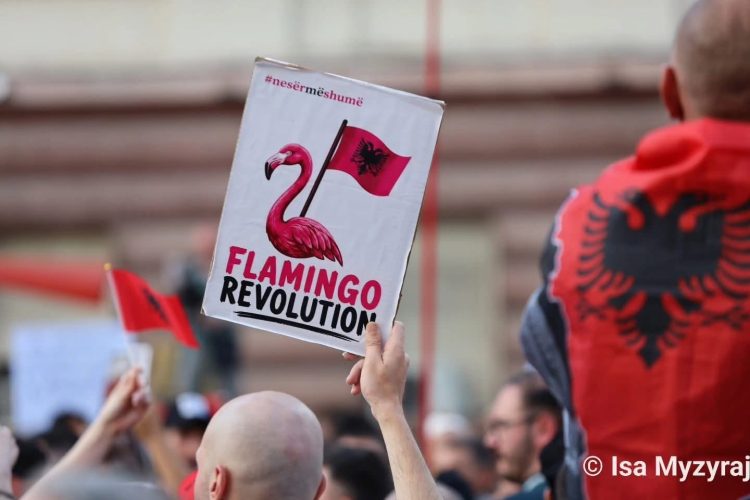 Mushkonjat e Strasburgut, flamingot e Zvërnecit dhe fabula e Ezopit
