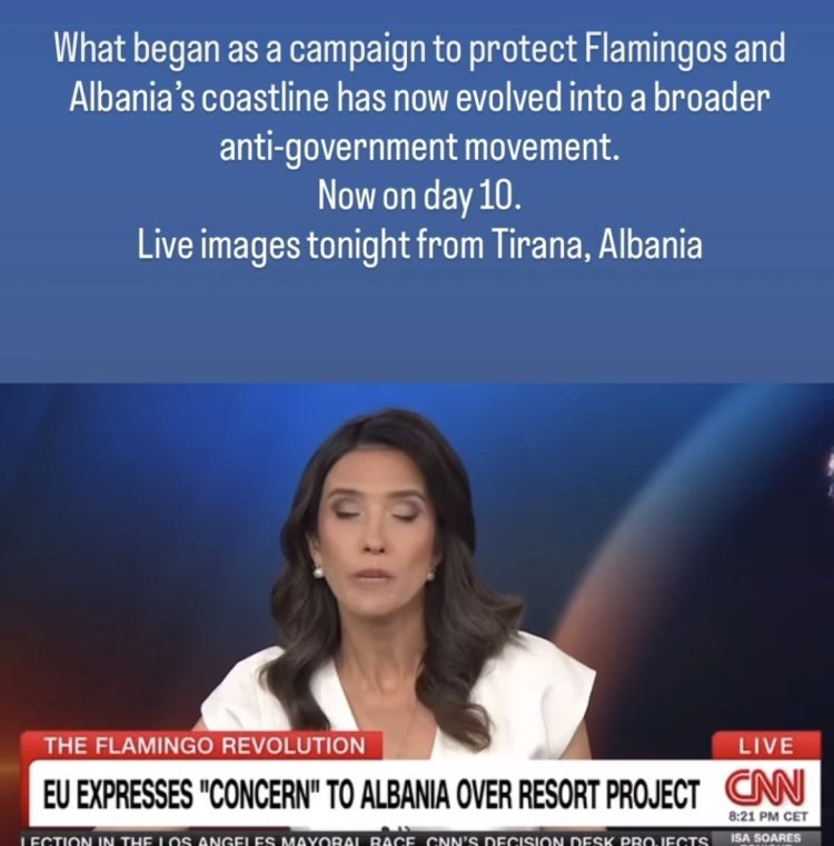 CNN: Protesta për flamingot është kthyer në një lëvizje më të gjerë kundër qeverisë