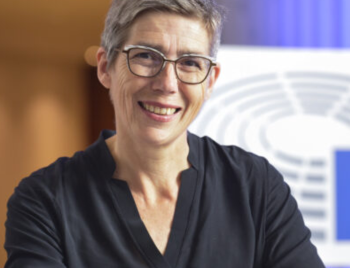 Eurodeputetja gjermane: Të hënën në protestë në Tiranë