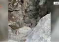 8 orë në Kanionet e Gjipesë për të gjetur 4 turistë polakë