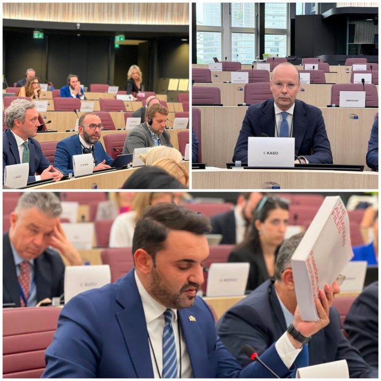 Bardhi, Këlliçi dhe Kaso në Parlamentin Europian: Akuza ndaj qeverisë për korrupsion, zgjedhjet dhe demokracinë