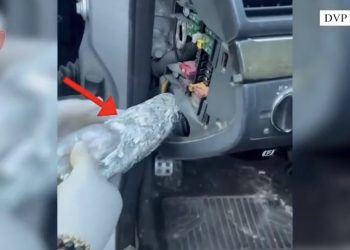Operacion antidrogë në Vlorë, arrestohen pesë persona, mes tyre dy shtetas italianë