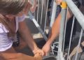 11 protestues në spital, 4 tek toksikologjia