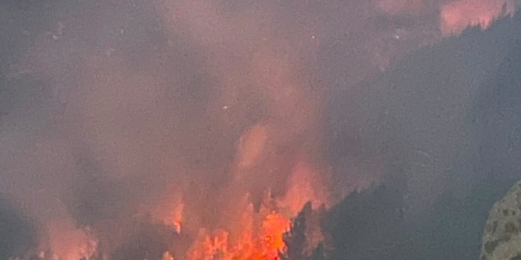 Zjarret në Krujë përhapen, urdhërohet evakuimi i banorëve në Barabit dhe Lluban