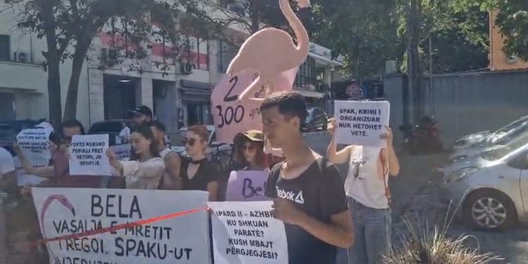 DITA 65/ Thirrje për dorëheqjen e Ramës. Si po fundosen pallatet e Alabarit në Durrës do fundoset dhe qeveria