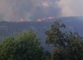 Zjarr në rreze të Dajtit, flakët përhapen me shpejtësi, digjet një resort