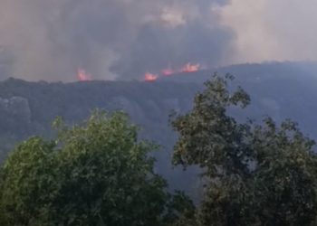 Zjarr në rreze të Dajtit, flakët përhapen me shpejtësi, digjet një resort