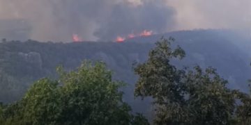Zjarr në rreze të Dajtit, flakët përhapen me shpejtësi, digjet një resort