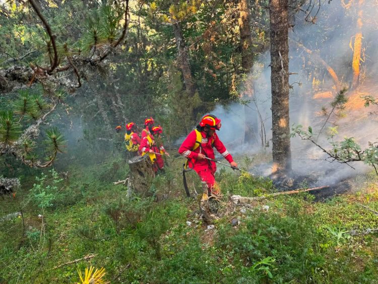 Zjarret në Mirditë, Melyshi: Situata është serioze, dyshojmë për zjarrvënie të qëllimshme