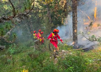 Zjarri në Parkun e Lurës, procedohen penalisht 3 punonjës për shpërdorim detyre