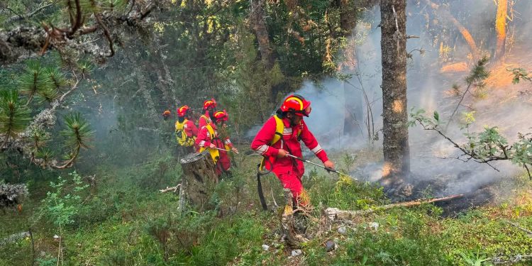 Zjarri në Parkun e Lurës, procedohen penalisht 3 punonjës për shpërdorim detyre