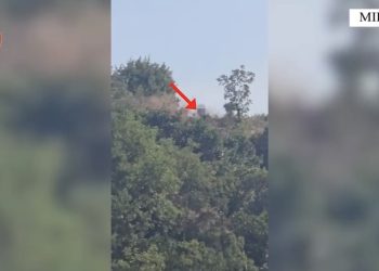 MIRDITË/ Policia kap piromanin në Gziq ndërsa po ndizte zjarrin e katërt