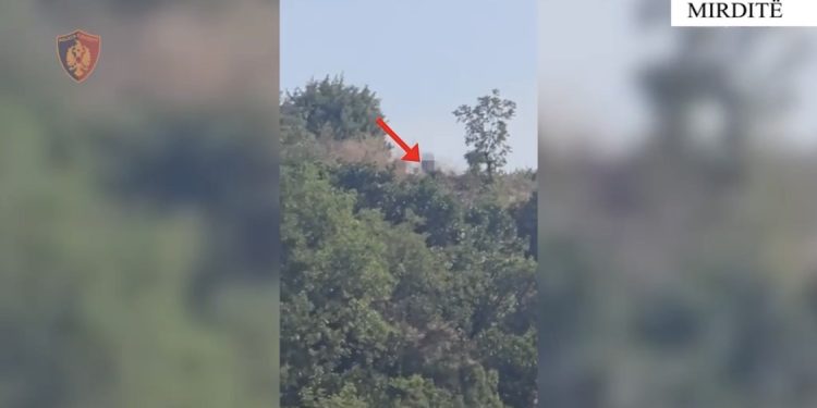MIRDITË/ Policia kap piromanin në Gziq ndërsa po ndizte zjarrin e katërt