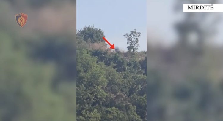 MIRDITË/ Policia kap piromanin në Gziq ndërsa po ndizte zjarrin e katërt