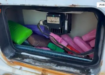 PORTI I DURRËSIT/ 41.3 kg kokainë në kontejnerin me mish pule, rreth 2 milionë euro vlerë tregu