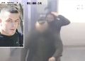 Alket Rizai, dyshinet për vrasje në burg. Media greke publikoi videot
